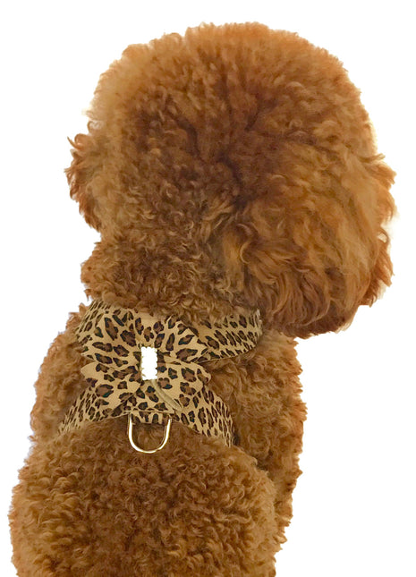 Hollywood Bow Dog Harness, Cheetah