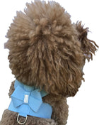 Hollywood Bow Dog Harness, Blue Horizon