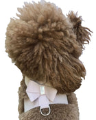 Hollywood Bow Dog Harness, Light Rose