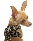 Hollywood Bow Dog Harness, Leopard