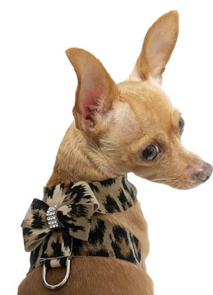 Hollywood Bow Dog Harness, Leopard