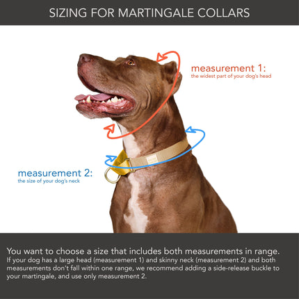 martingale collar / peach + pink