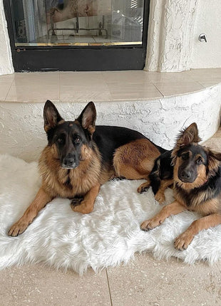 PupRug by Paw.com® Faux Fur Orthopedic Dog Bed - Curve Polar White