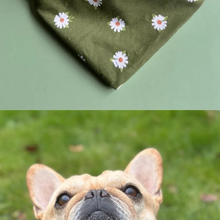Daisy Dog Bandana
