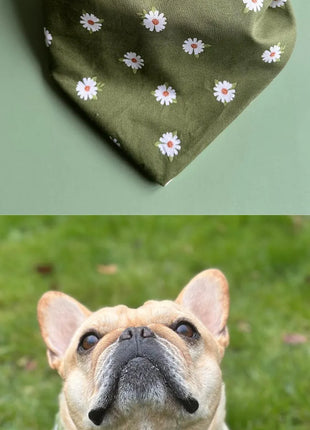 Daisy Dog Bandana
