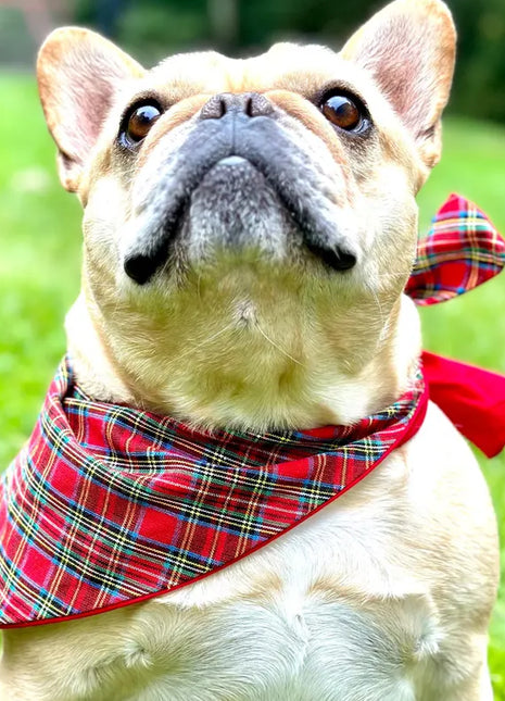Classic Holliday Plaid Dog Bandana