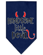 Pet and Dog Bandana Screen Printed, 