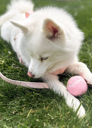 Classic Tennis Ball - Rose
