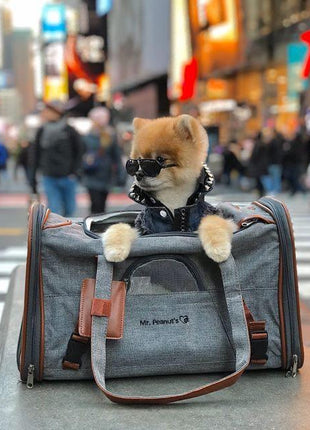 Mr. Peanut's Gold Series Standard Size Airline Compliant Pet Carrier