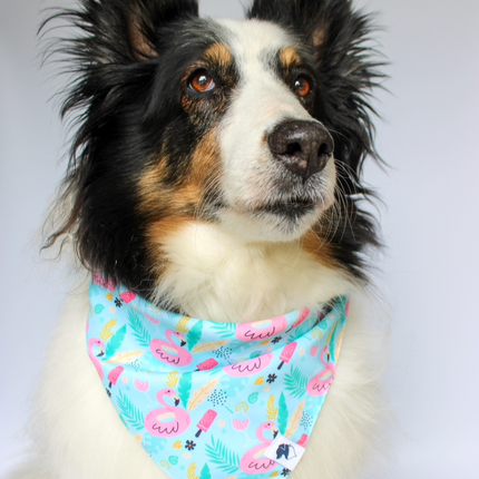 Summer Beach Dog Bandana