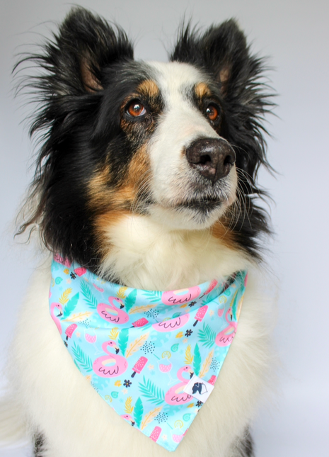 Summer Beach Dog Bandana