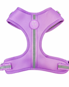 Shine Bright - Amethyst Adjustable Harness - Pup List