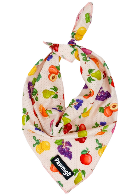 Frootie Patootie Cooling Bandana