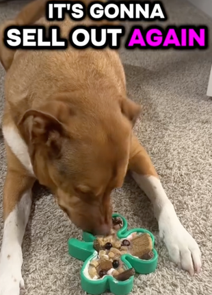 FreezShamrock - Premium Enrichment Toy