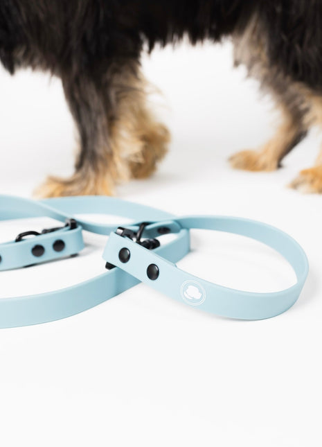 The Modern Dog Company - Dusty Blue Adjustable Leash - Pup List