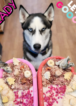 FreezHeart - Durable Heart Enrichment Chew