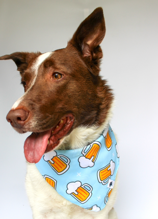Cheers and Beers Dog Bandana