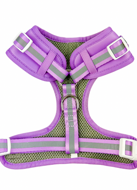 Shine Bright - Amethyst Adjustable Harness - Pup List