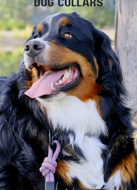 Adventure Style Mountain Blush Climbing Rope Dog Leash