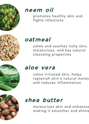 dog shampoo bar / sensitive skin