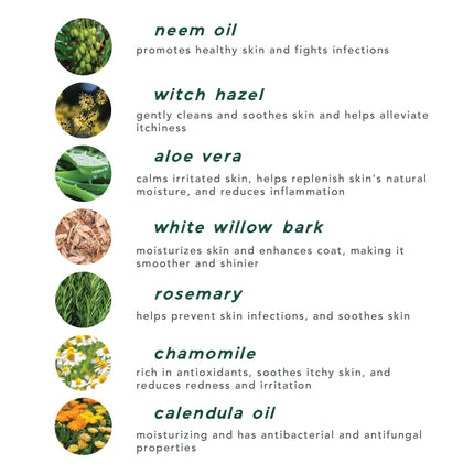 skin tonic + ear wash