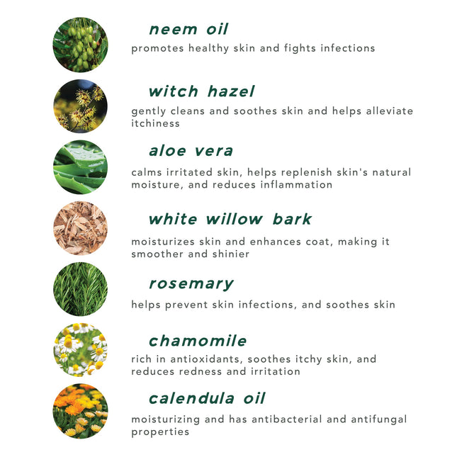 skin tonic + ear wash