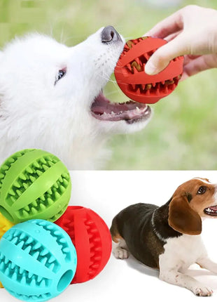 Dog Chew Toy - Pup List