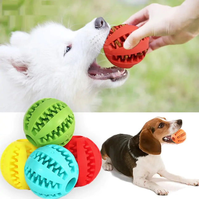 Dog Chew Toy - Pup List