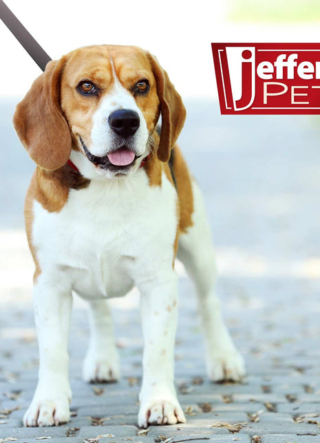 Jeffers Flat Leather Dog Leash with Hand Strap Handle, 6'L
