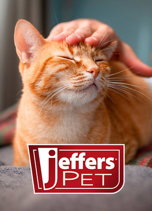 Jeffers Professional Stainless Steel Pet Grooming Shears