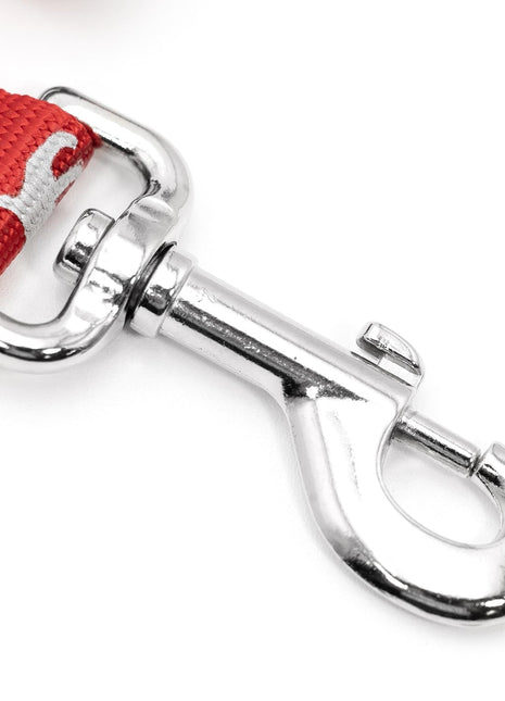 Jeffers Reflective Hound Series Nylon Dog Leash
