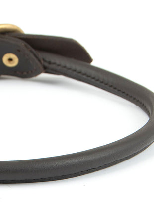 Jeffers Rolled Leather Dog Collars with Brass Hardware