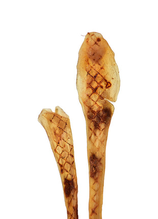 Junior Beef Tendon
