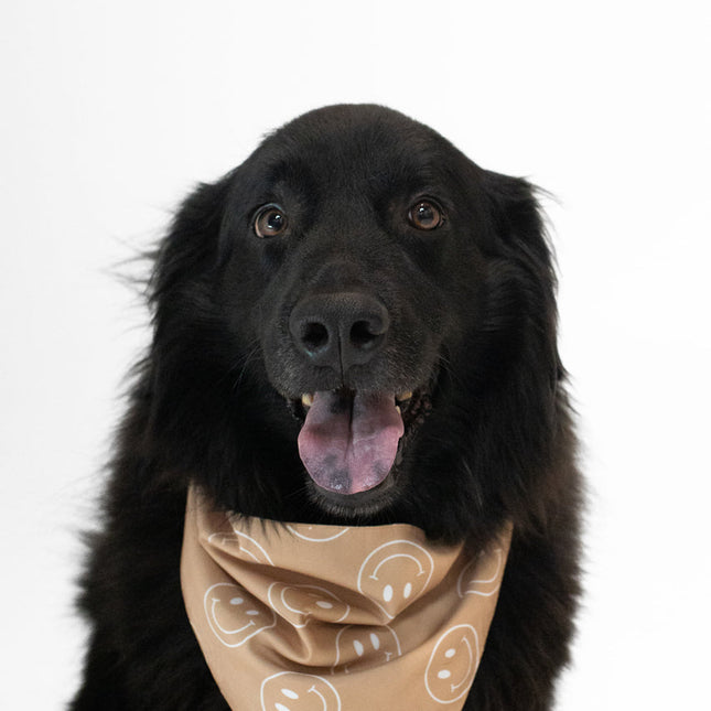 Smiles Dog Bandana