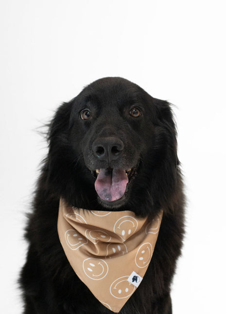 Smiles Dog Bandana