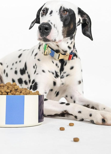 Kate Spade Adventure Stripe Food & Water Bowl for Dogs, Stainless Steel Large Bowl with Non-Slip Base