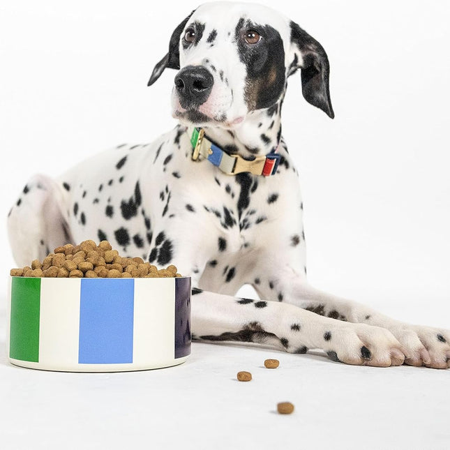 Kate Spade Adventure Stripe Food & Water Bowl for Dogs, Stainless Steel Large Bowl with Non-Slip Base