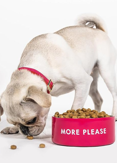 Kate Spade More Please Bowl