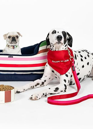 Kate Spade Adventure Stripe Food & Water Bowl for Dogs, Stainless Steel Small Bowl with Non-Slip Base