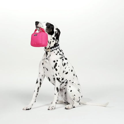 Kate Spade Colorblock Handbag Chew Toy