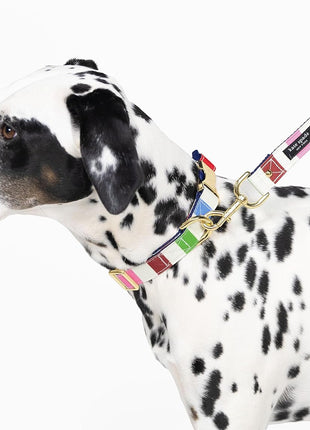 Kate Spade Adventure Stripe Collar