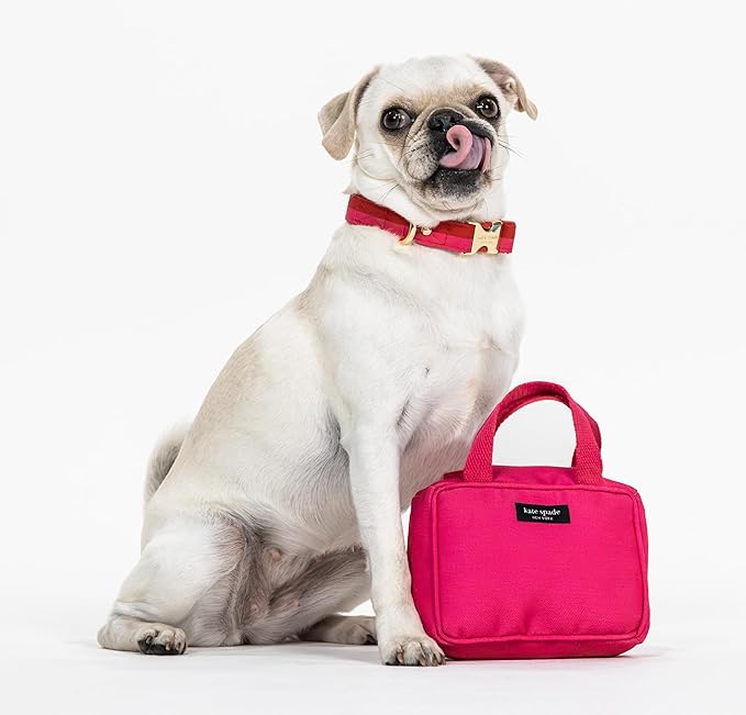 Kate Spade Citrine Blue Handbag Chew Toy