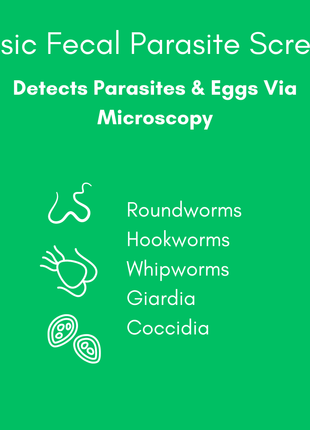 Basic Fecal Parasite Screen + Giardia ELISA Mail in Lab Test for Cats & Dogs: At-Home Testing