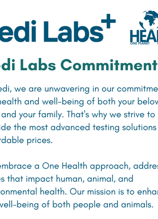 Basic Fecal Parasite Screen + Giardia ELISA Mail in Lab Test for Cats & Dogs: At-Home Testing