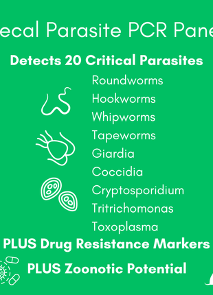 Parasite Detect+ for Dogs & Cats Mail-In Lab Test (PCR Test - Comprehensive): At-Home Testing