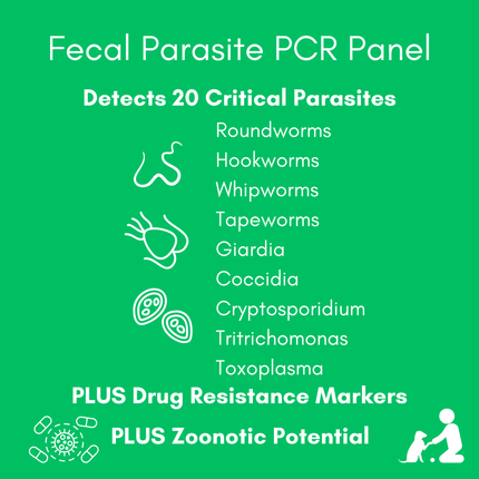 Parasite Detect+ for Dogs & Cats Mail-In Lab Test (PCR Test - Comprehensive): At-Home Testing