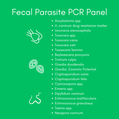 Parasite Detect+ for Dogs & Cats Mail-In Lab Test (PCR Test - Comprehensive): At-Home Testing