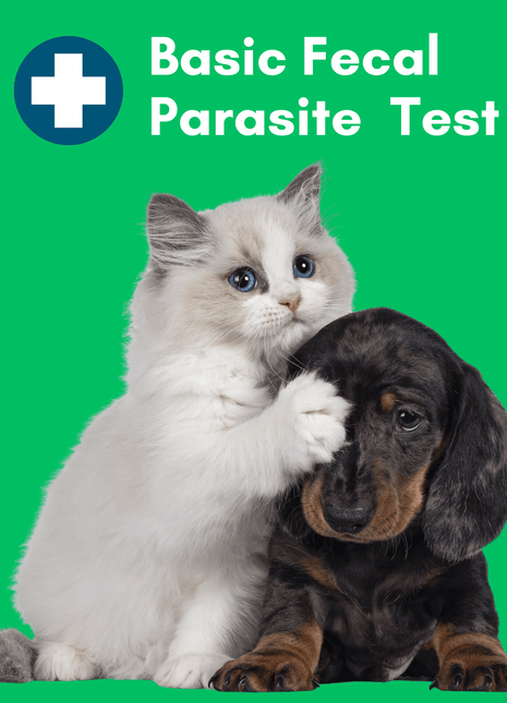 Basic Fecal Parasite Screen Mail in Lab Test for Cats & Dogs (Ova & Parasite)