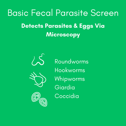Basic Fecal Parasite Screen Mail in Lab Test for Cats & Dogs (Ova & Parasite)