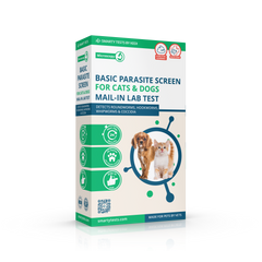 Collection image for: Cat Wellness